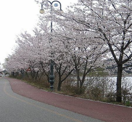 Youngrangho Resort Sokcho Eksteriør bilde